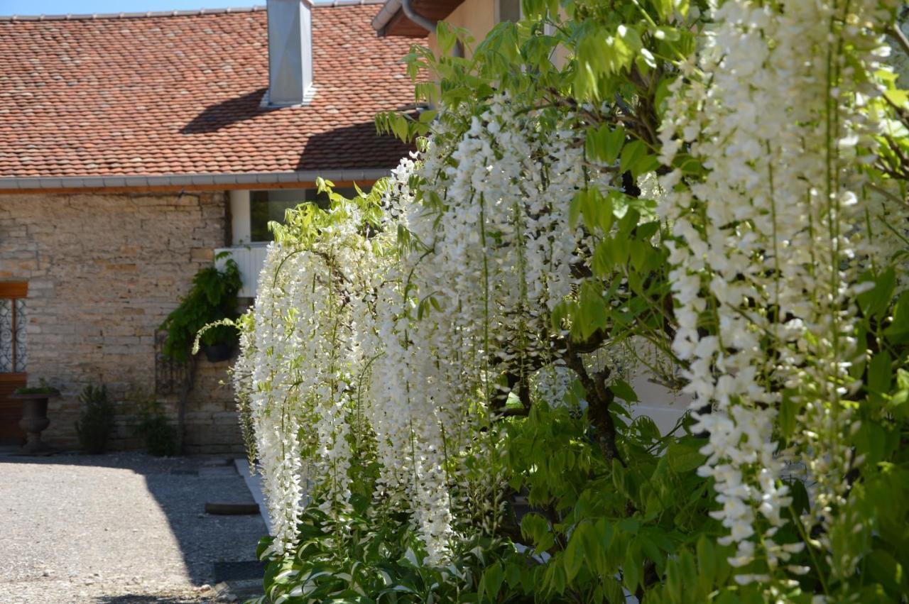 فندق La Ferme Aux Glycines Aillevans المظهر الخارجي الصورة