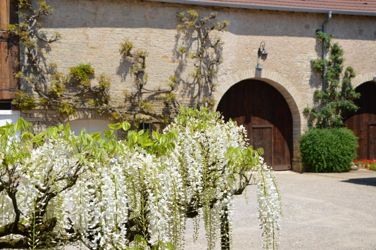 فندق La Ferme Aux Glycines Aillevans المظهر الخارجي الصورة