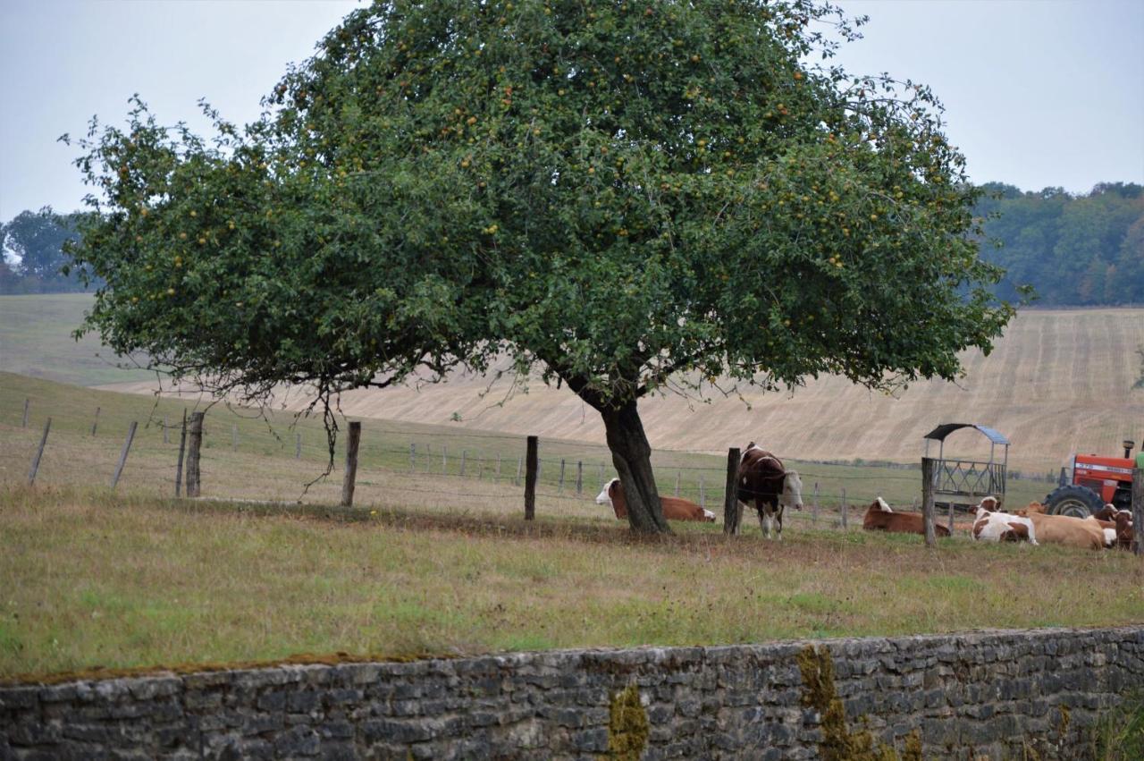 فندق La Ferme Aux Glycines Aillevans المظهر الخارجي الصورة